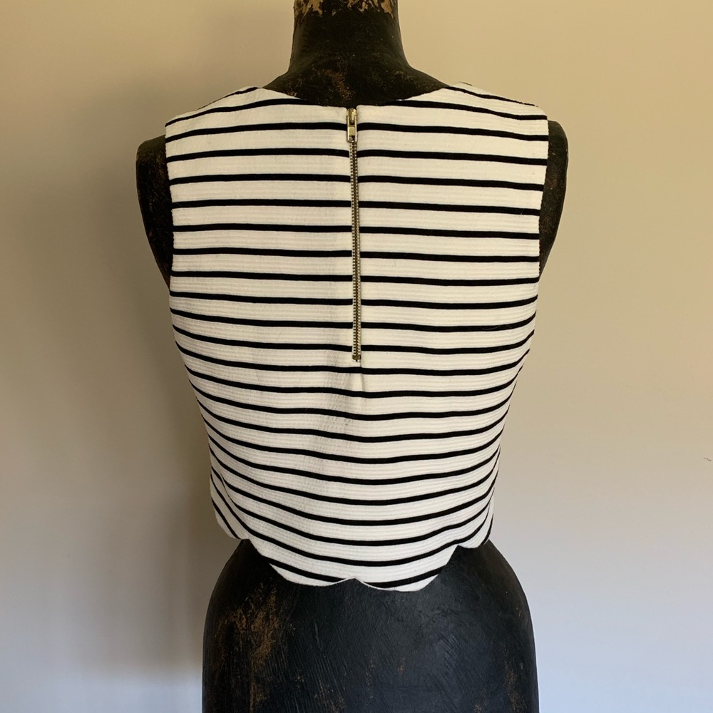 Design Lab Crop Top - Picture 2 of 4